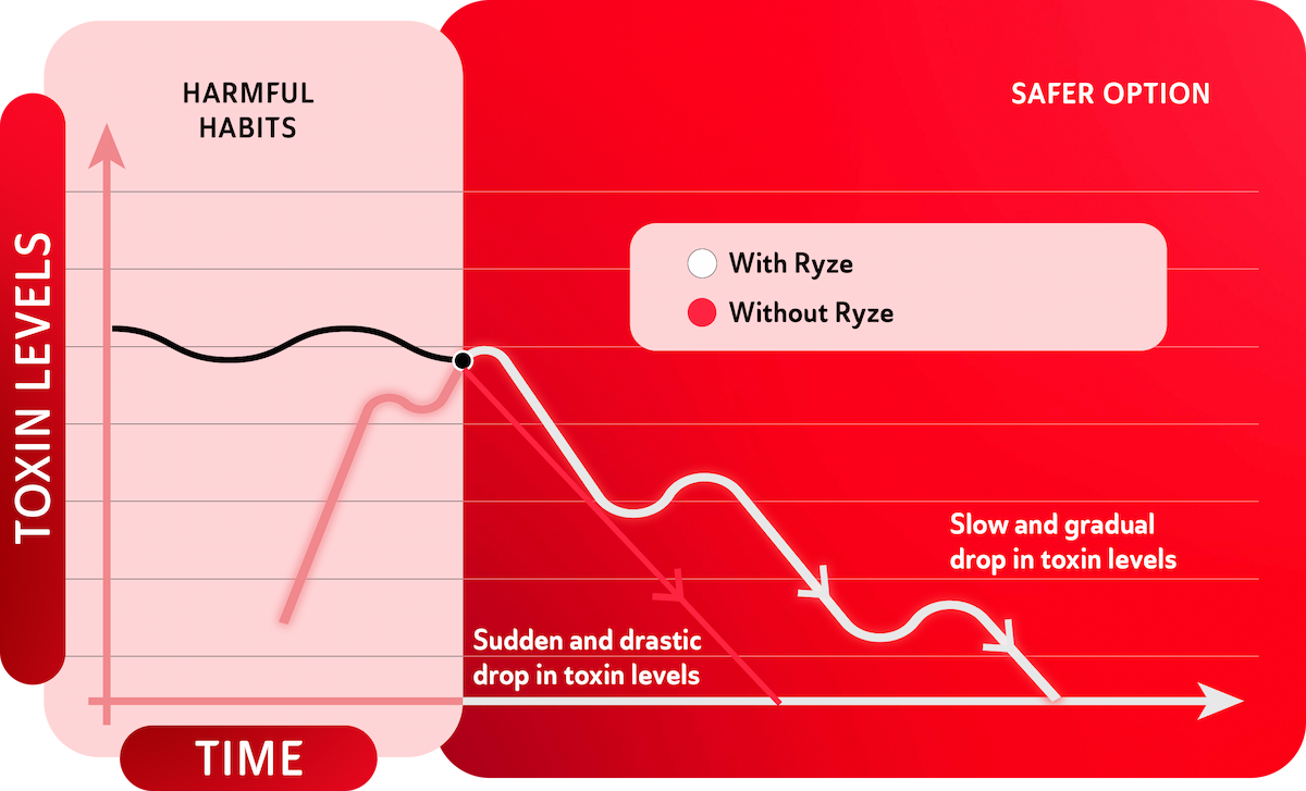 Chart showing the nicotine level drop with consistent Ryze usage